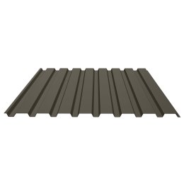 Профнастил С-20А 0.5 MAT двусторонний RR-32